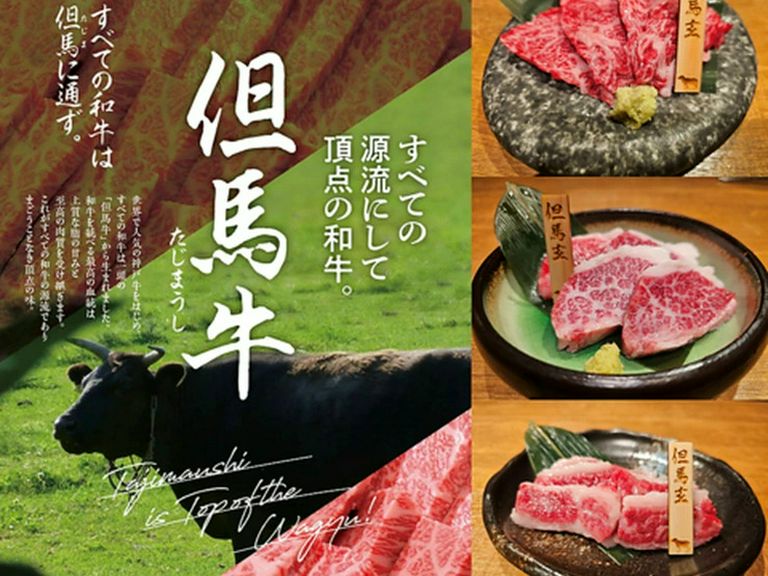 菜肴