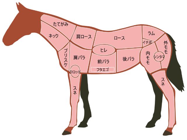 馬肉這樣吃最棒!好吃的馬肉料理與部位