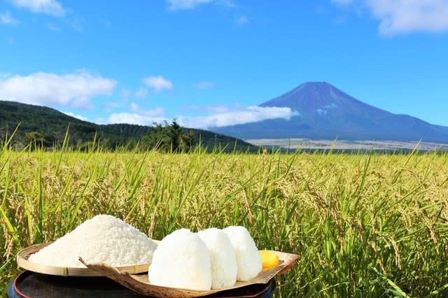 吃遍日本秋季!當季好滋味