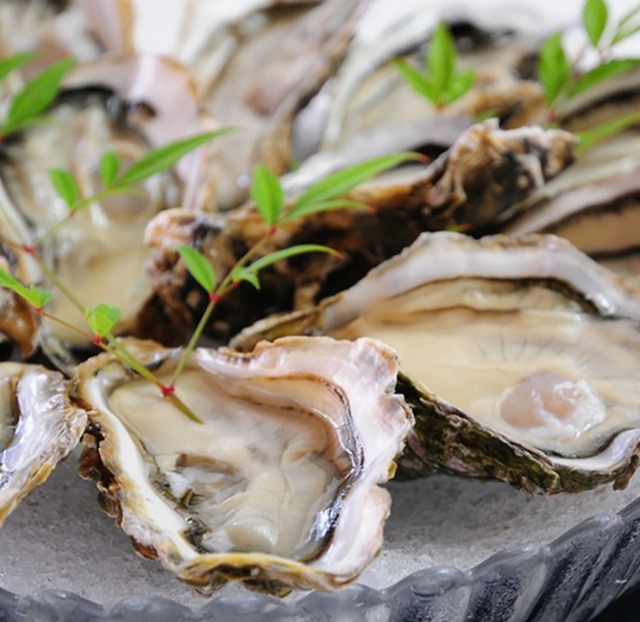 正當時節！能夠品嘗到美味牡蠣料理的5家精選餐廳 | 廣島  