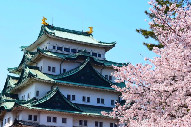 在名古屋城享櫻後推薦前往的餐廳5選｜愛知・名古屋